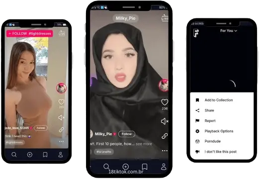 What is TikTok 18+ for PC?