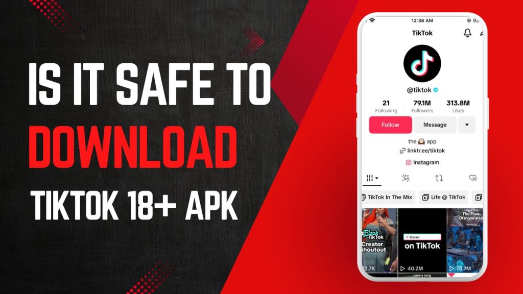Is TikTok 18+ APK safe to use